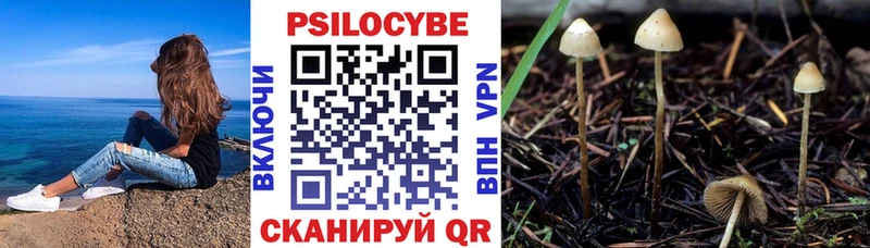 Псилоцибиновые грибы Psilocybe  площадка телеграм  Нефтекумск  купить  сайты 