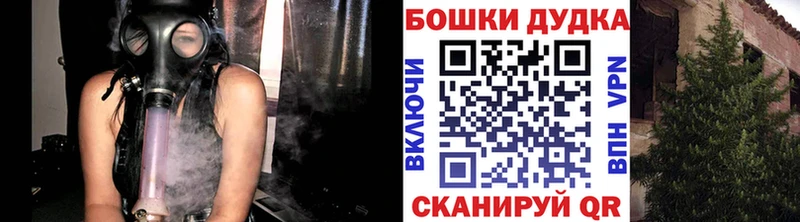 Бошки марихуана сатива Нефтекумск
